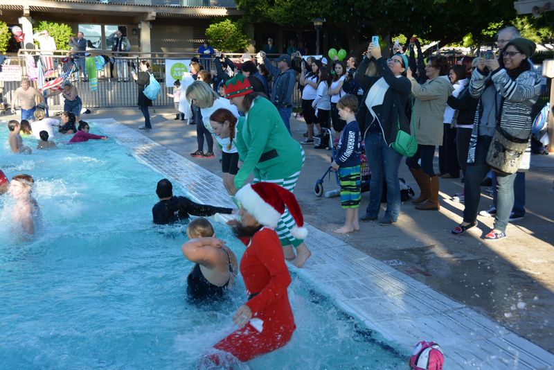 Polar Plunge 2016