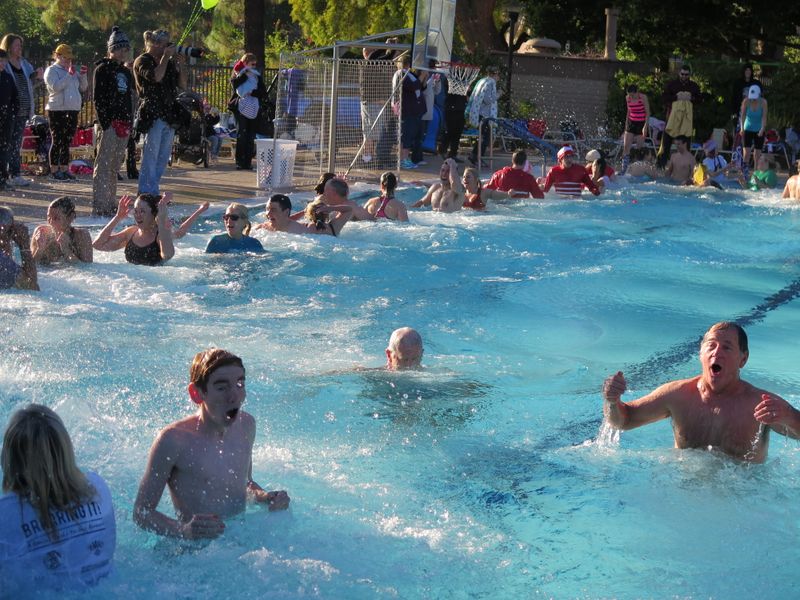 Polar Plunge 2016