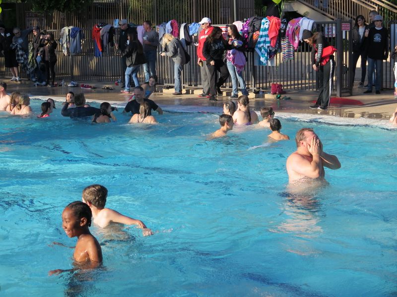 Polar Plunge 2016